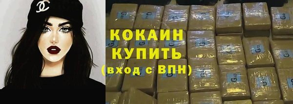 гидра Мегион