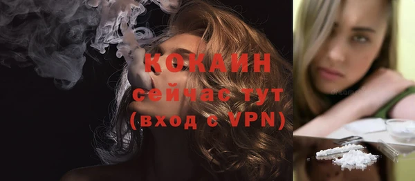гидра Мегион