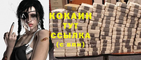 гидра Мегион