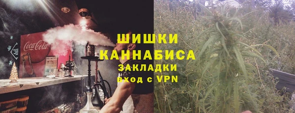 гидра Мегион