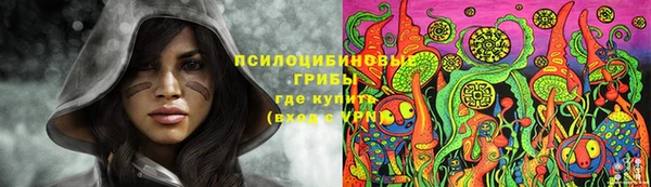 гидра Мегион