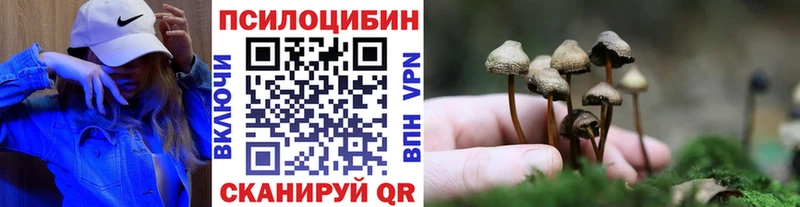 Галлюциногенные грибы Psilocybe  купить наркотик  Дюртюли 
