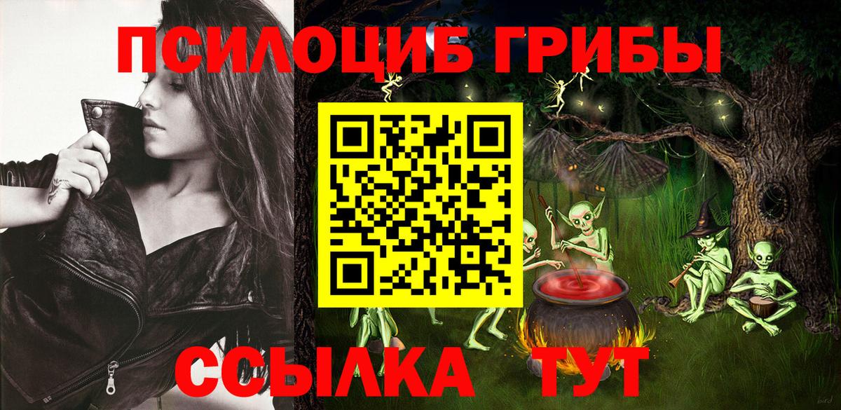 Псилоцибиновые грибы Psilocybine cubensis Дюртюли