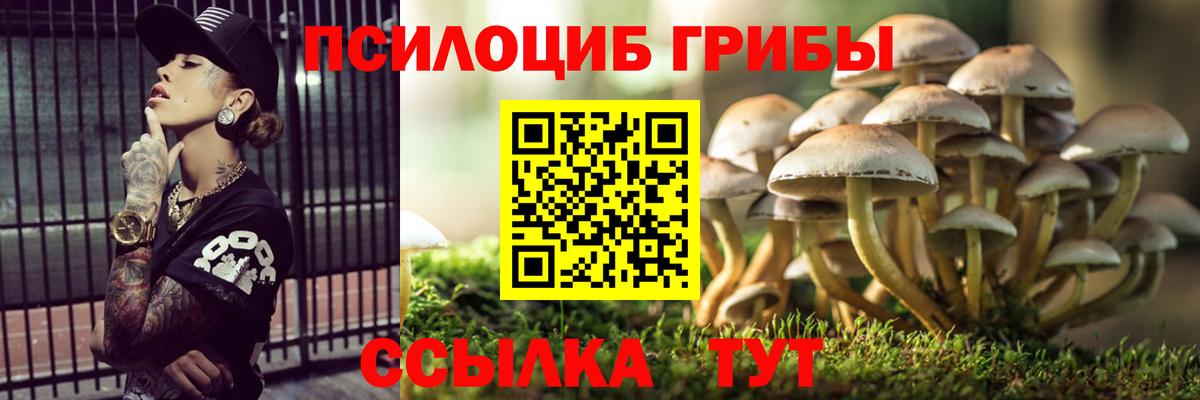 Галлюциногенные грибы Psilocybe  как найти закладки  Галлюциногенные грибы GOLDEN TEACHER  Дюртюли 